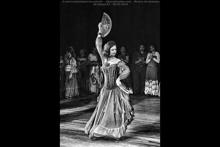 Danas do ventre, Flamenca, Cigana, Tribal - Semana da Dana - Centro Coreogrfico do Rio de Janeiro - RJ - 08.05.2014